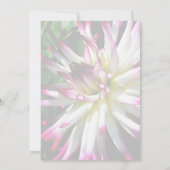 Dahlia Bloemenfeest Kaart (Achterkant)