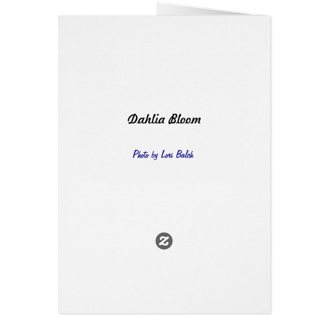 Dahlia Bloom (Achterkant)