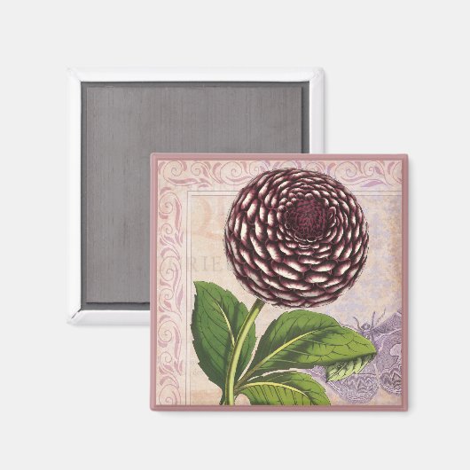  Dahlia Botanische Collage Damast Achtergrond Magneet (Voorkant / Achterkant)