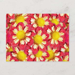 Dahlia bouquet - koraal en wit met geel briefkaart