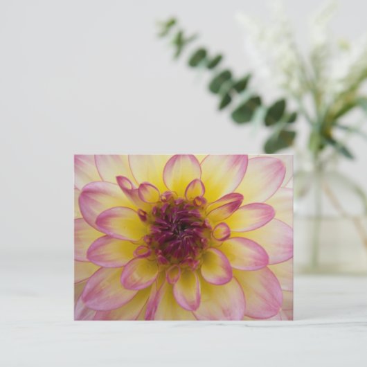 Dahlia Briefkaart (Staand voorkant)