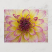 Dahlia Briefkaart (Voorkant)
