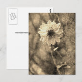 Dahlia Briefkaart (Voorkant / Achterkant)