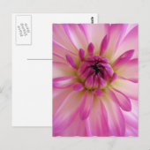 Dahlia Briefkaart (Voorkant / Achterkant)