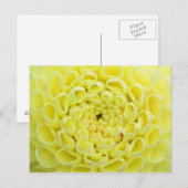 Dahlia Briefkaart (Voorkant / Achterkant)