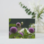 Dahlia Briefkaart (Staand voorkant)