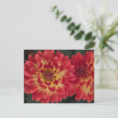 Dahlia Briefkaart (Staand voorkant)