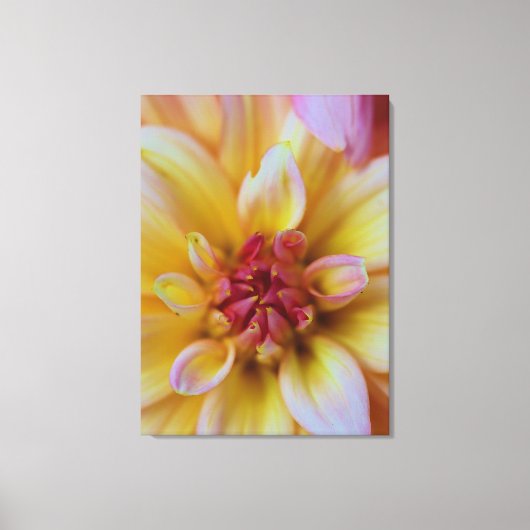 Dahlia Bud Canvas Afdruk (Voorkant)