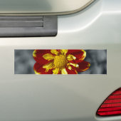 Dahlia Bumpersticker (Op auto)