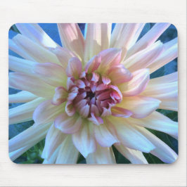 Dahlia C: Geel en zalm — Muismat