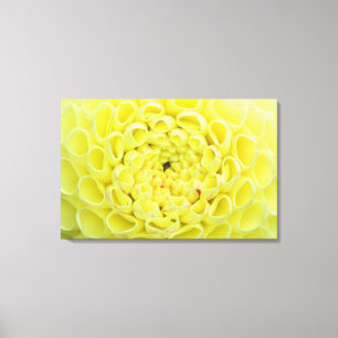 Dahlia Canvas Afdruk