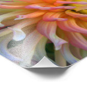 Dahlia Close 10x8 Foto Afdruk (Hoek)