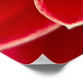 Dahlia Closeup Poster (Hoek)