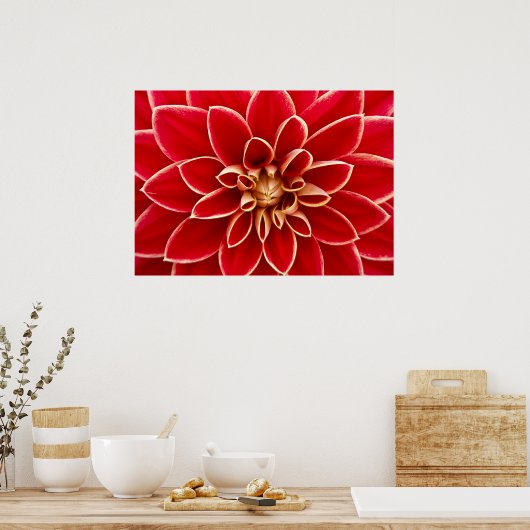 Dahlia Closeup Poster (Keuken)