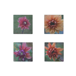 Dahlia Collectie stenen magneten