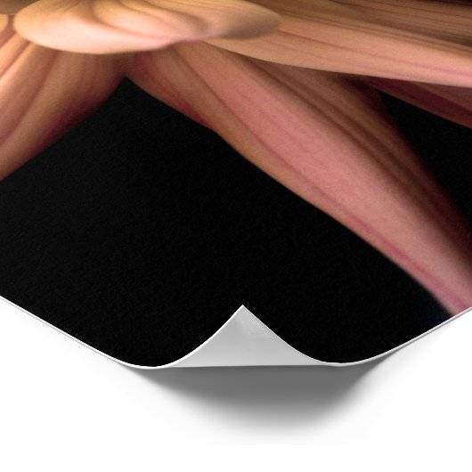 Dahlia Corona Cream Poster (Hoek)