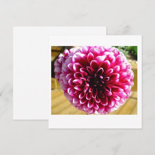 Dahlia Dahlia Note Kaart (Voorkant / Achterkant)
