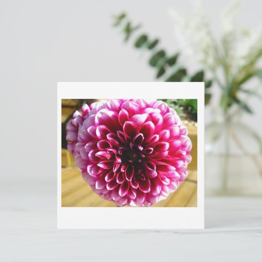Dahlia Dahlia Note Kaart (Staand voorkant)
