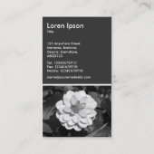 Dahlia 'David Howard' - 80pc Gray Visitekaartje (Achterkant)