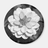 Dahlia 'David Howard' B&W Magneet (Voorkant)