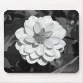 Dahlia 'David Howard' B&W Muismat (Voorkant)