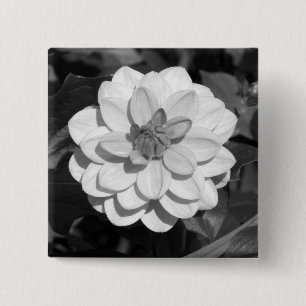 Dahlia 'David Howard' B&W Vierkante Button 5,1 Cm