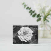Dahlia 'David Howard' B&W Visitekaartje (Staand voorkant)