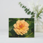 Dahlia "David Howard" Briefkaart (Staand voorkant)