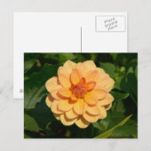 Dahlia "David Howard" Briefkaart (Voorkant / Achterkant)
