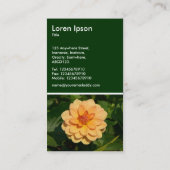 Dahlia 'David Howard' - Dark Green Visitekaartje (Achterkant)