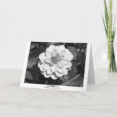 Dahlia 'David Howard' (grens) B&W Kaart (Achterkant)