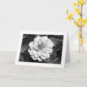 Dahlia 'David Howard' (grens) B&W Kaart (Gele Bloem)