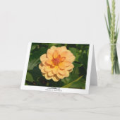 Dahlia "David Howard" (grens) Kaart (Achterkant)