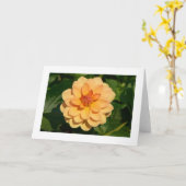 Dahlia "David Howard" (grens) Kaart (Gele Bloem)