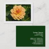 Dahlia "David Howard" (grens) Visitekaartje (Voorkant / Achterkant)