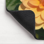 Dahlia "David Howard" Muismat (Hoek)