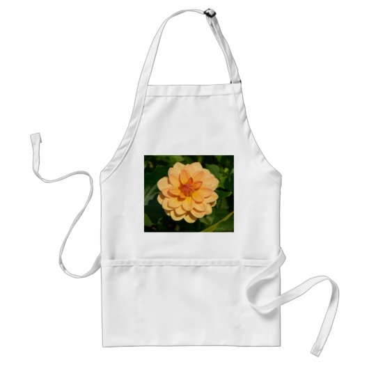 Dahlia "David Howard" Standaard Schort (Voorkant)