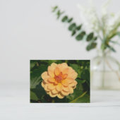 Dahlia "David Howard" Visitekaartje (Staand voorkant)