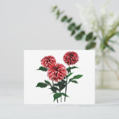 Dahlia de Kerstman Feestdagenkaart (Staand voorkant)