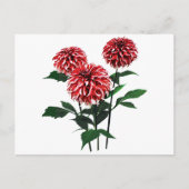 Dahlia de Kerstman Feestdagenkaart (Voorkant)