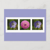 Dahlia en Geranium Briefkaart (Voorkant)