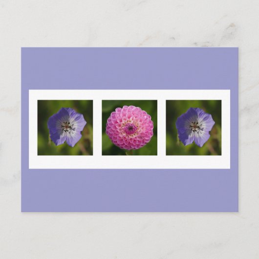 Dahlia en Geranium Briefkaart (Voorkant)