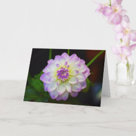 Dahlia Eveline Blank Wenskaart Kaart