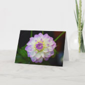 Dahlia Eveline Blank Wenskaart Kaart (Voorkant)