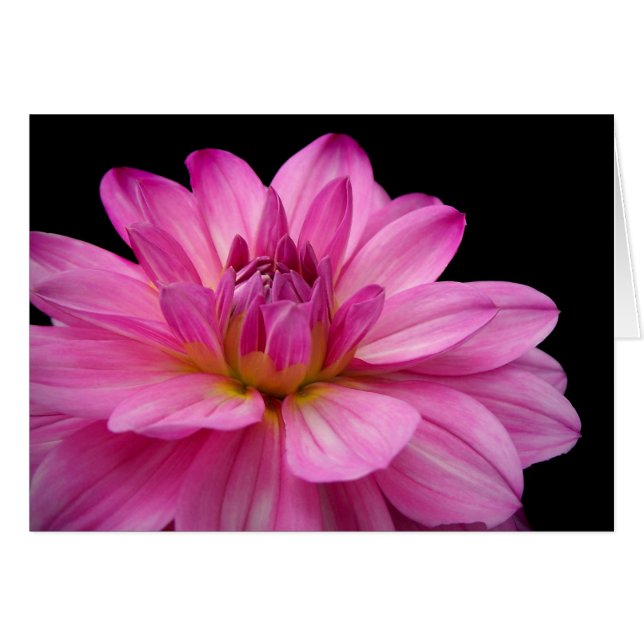 Dahlia Figurine (Voorkant Horizontaal)