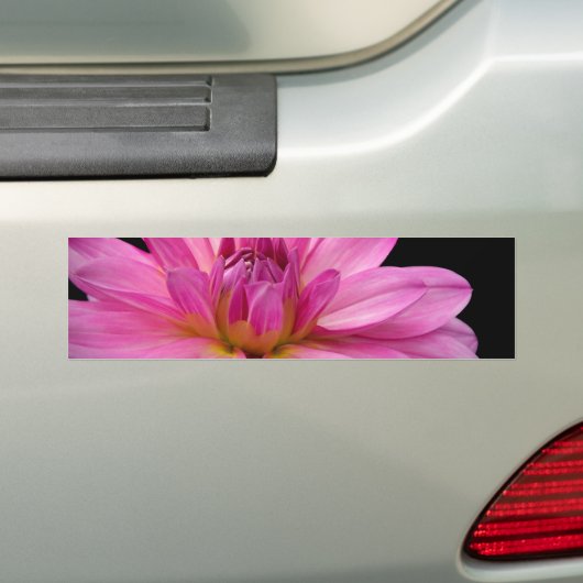 Dahlia Figurine Bumpersticker (Op auto)