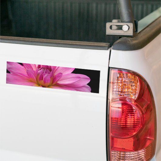 Dahlia Figurine Bumpersticker (Op Truck)