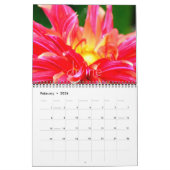 Dahlia Floral Fantasy 2014 Wall Calender Kalender (Feb 2026)