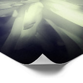 Dahlia Flower Black en White High Contrast Poster (Hoek)