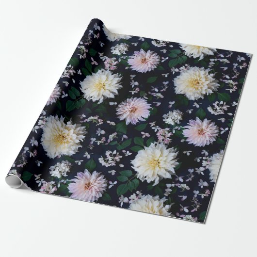 Dahlia Flower Blooms blush on black Cadeaupapier (Uitgerold)